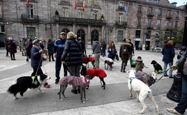 Torrelavega destina 22.955 euros para proyectos de las protectoras de animales