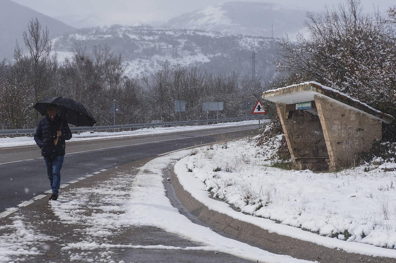 Llega la nieve al sur de Cantabria