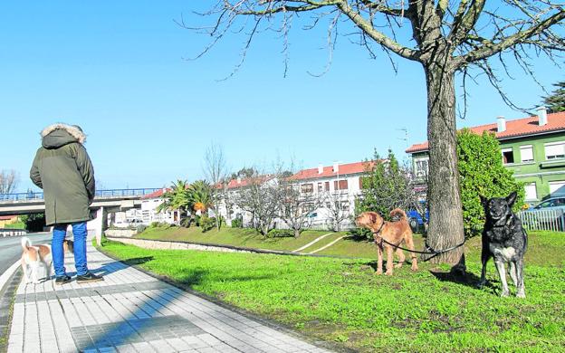 Polanco pone en marcha su nueva ordenanza de bienestar animal