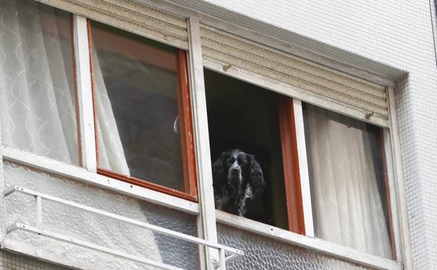 La vida se traslada a balcones y ventanales