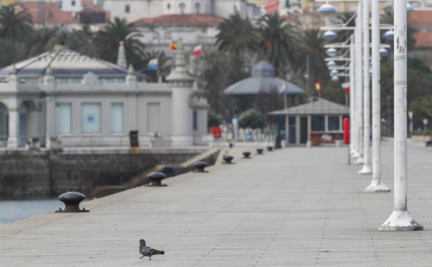 Directo | Cantabria vive su octavo día de confinamiento