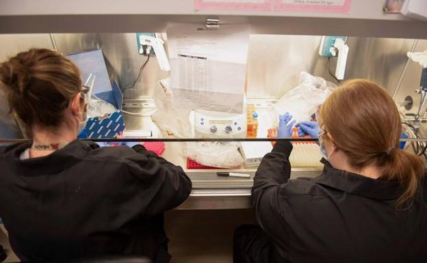 «Deberían producir cloroquina a toneladas»