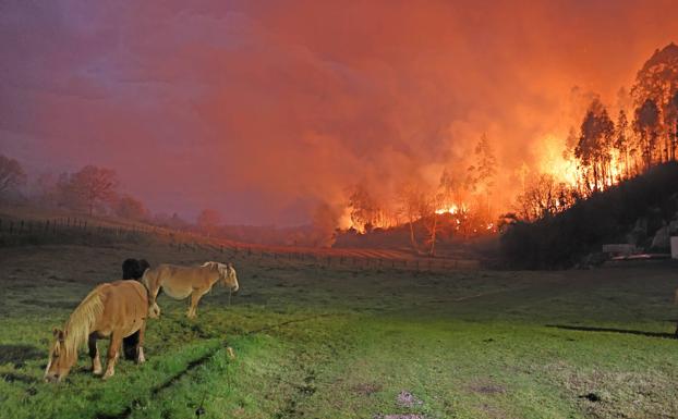 Los incendios forestales de ayer dañan redes de comunicación en el entorno de Santander, los Valles Pasiegos y el área occidental