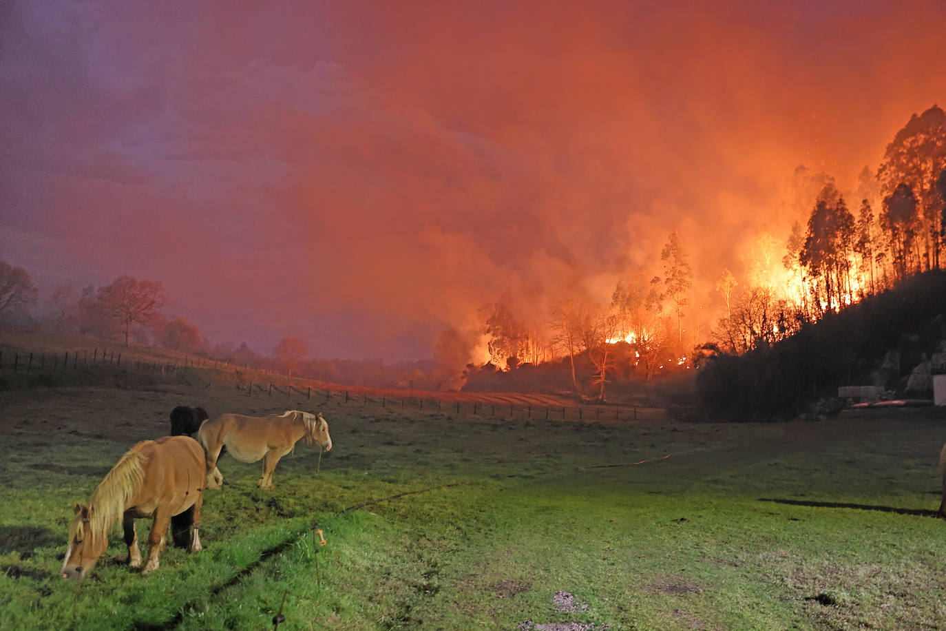 Las espectaculares imágenes del incendio forestal en La Busta (Alfoz de Lloredo)