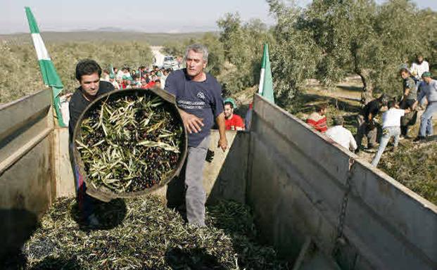 Parados e inmigrantes podrán trabajar como temporeros hasta final de junio