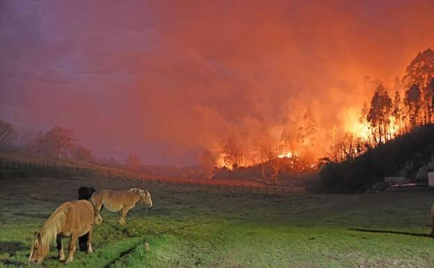 Identifican a un edil de Campoo de Yuso como presunto autor de un fuego