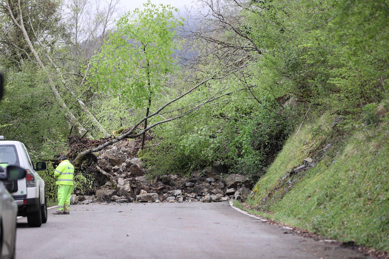 Un enorme argayo corta la carretera que une Reinosa y el valle de Cabuérniga