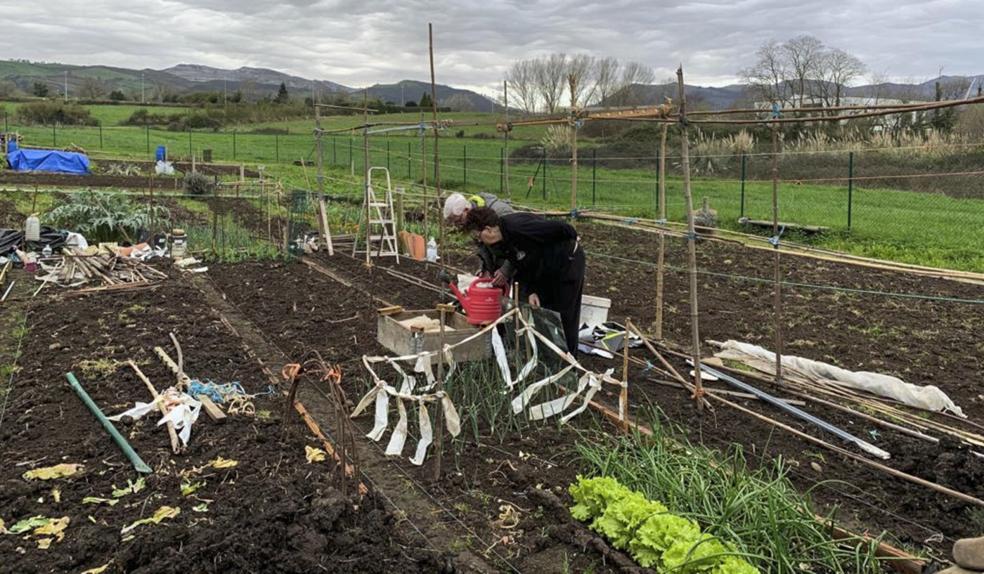 Con los huertos llenos «a reventar» y sin recoger