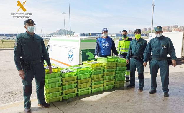 La Guardia Civil entrega media tonelada de pescado intervenido al banco de alimentos