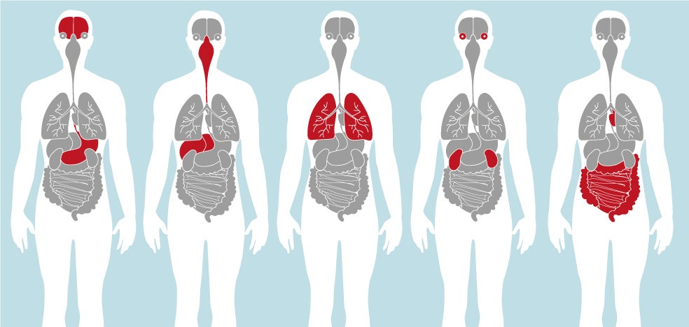 El coronavirus, un viaje de ida y vuelta por todo el cuerpo