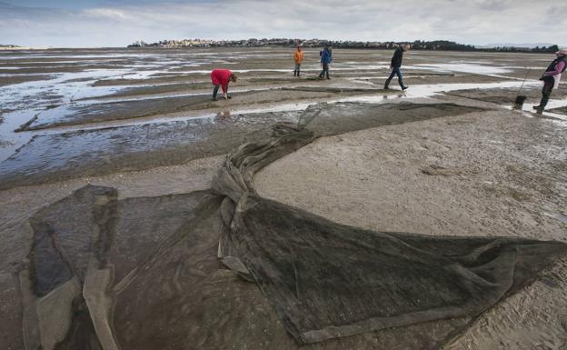 Prohibida temporalmente la extracción de moluscos bivalvos en todo Cantabria excepto San Vicente