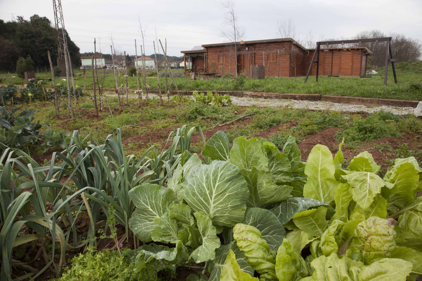 Camargo reabre sus huertas municipales sostenibles con medidas especiales de prevención