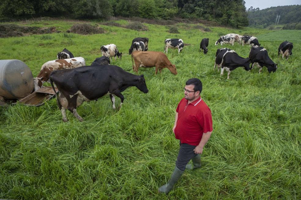 «Las vacas no entienden de virus»