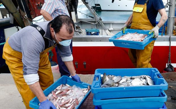 Este verano debemos comer pescado todos los días de la semana