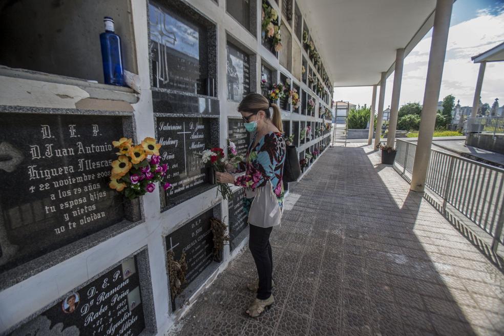 Ciriego: treinta minutos entre flores y recuerdos