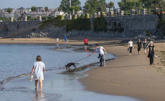 Igual espera que el Gobierno de Sánchez revoque el cálculo del aforo de las playas publicado en el BOE