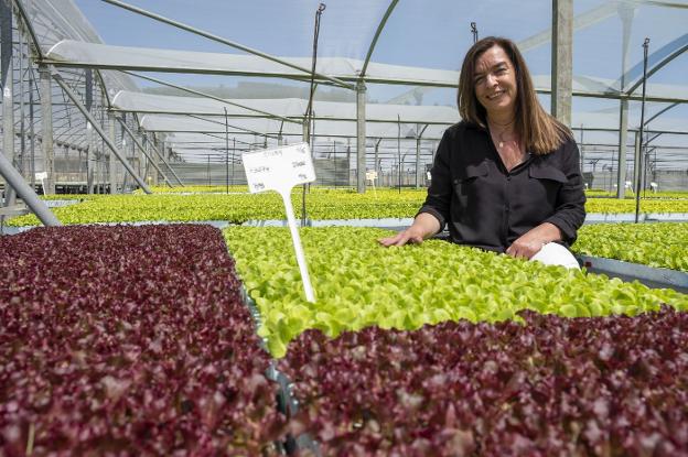 «Hemos pasado de pensar en tirar las plantas a no dar abasto para repartir»