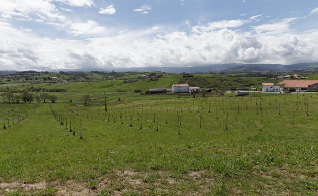 Cantabria destina 260.000 euros a ayudas para asesorar a las explotaciones agrarias de la región