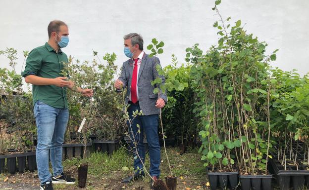 Un árbol autóctono a cambio de una compra en Bezana