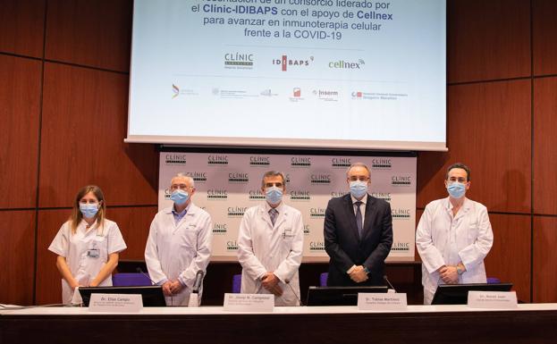 Un consorcio europeo buscará una inmunoterapia frente a la Covid-19