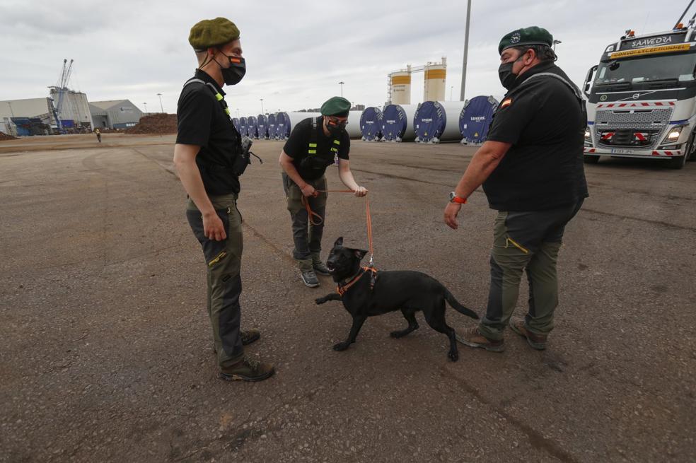 Aviso a navegantes... clandestinos