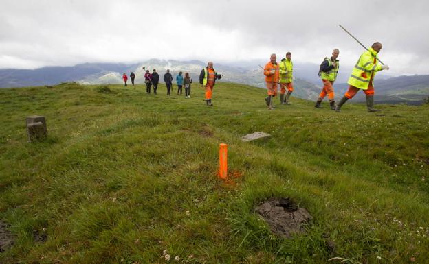 Arca alerta de la tala de árboles autóctonos para plantar eucaliptos en Guriezo