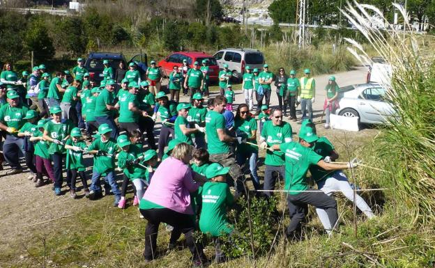 Cantabria reactiva el voluntariado ambiental: ¿Quién se apunta a plantar frutales para osos?