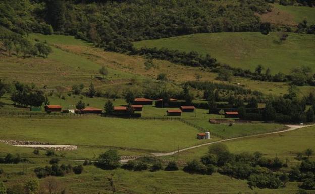 El Campus de Verano en Tama se celebrará con un máximo de 75 participantes