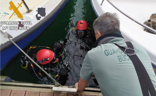 La Guardia Civil desmantela un vivero clandestino en el puerto de Santander