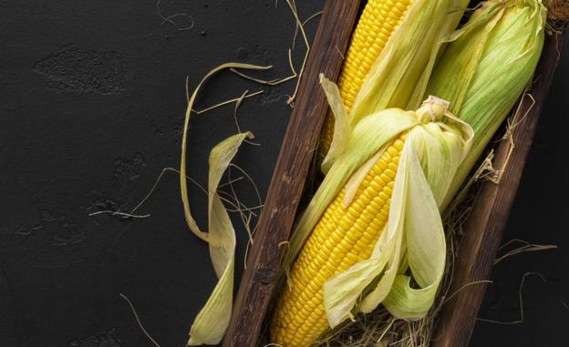 El maíz dulce una potente fuente de energía