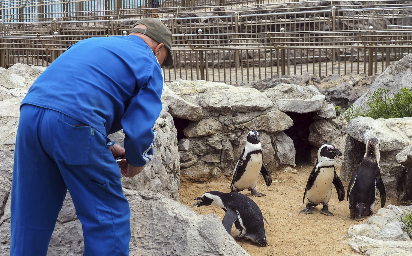 Así se encuentra el minizoo de La Magdalena