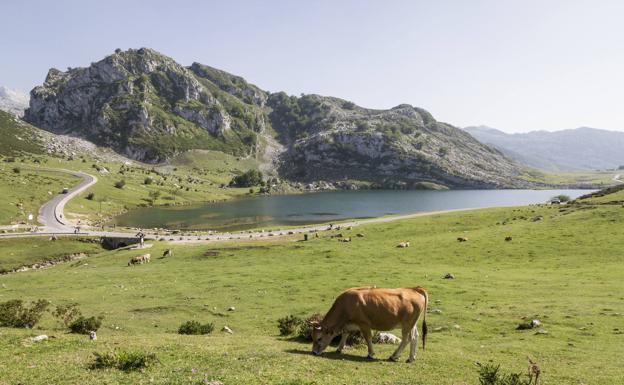 IHCantabria lidera un proyecto europeo de diversidad acuática en los Picos de Europa