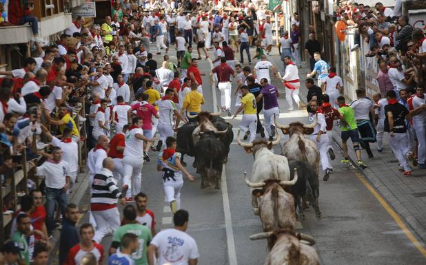 Suspendidos los encierros de Ampuero ante la imposibilidad de garantizar el control de aforo