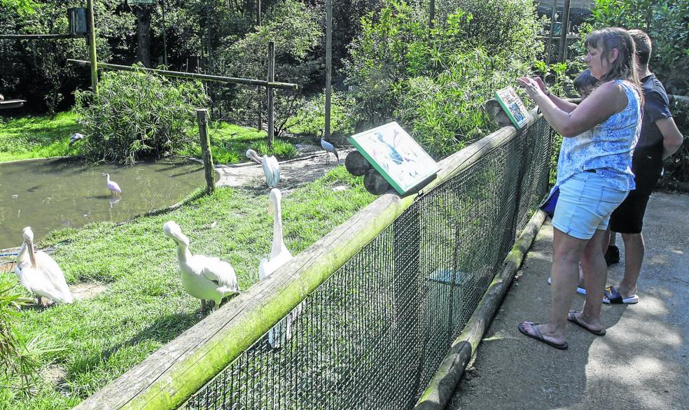 «Nuestro zoo está hecho para sobrevivir»