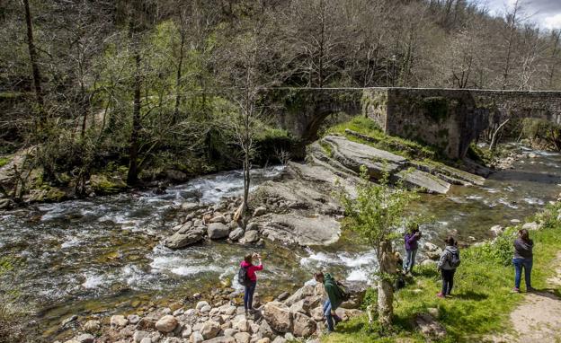 Dónde parar a comer entre Cabezón de la Sal a Los Tojos