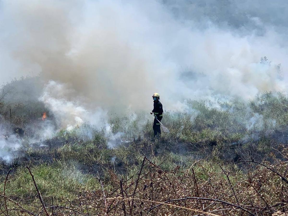 Los bomberos de Santander sofocan una quema de rastrojos en Monte que se descontroló por el viento