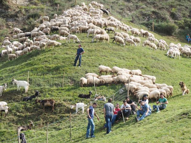 Productos de montaña, un sello de calidad más que reivindica su reconocimiento