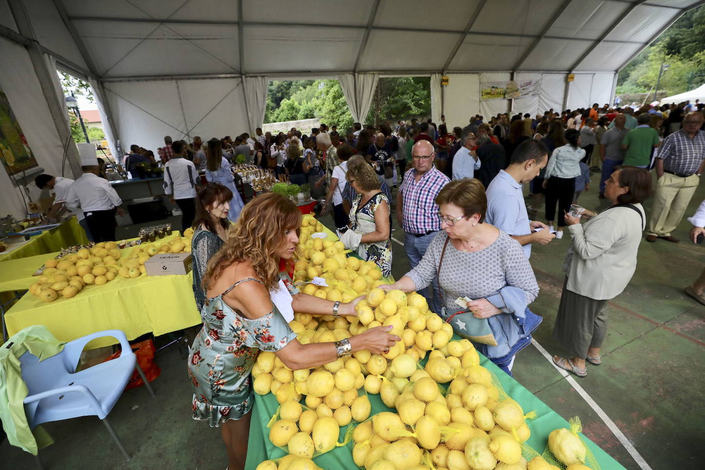 Limones Solidarios rendirá homenaje a Protección Civil y a Textil Santanderina