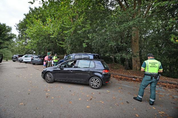 Problemas de seguridad vial junto al bosque de las secuoyas