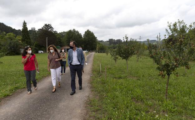 El Gobierno estudia el futuro cultivo de aguacates en las zonas costeras de Cantabria como alternativa de diversificación agrícola