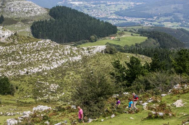 Guriezo vuelve a ganar un pleito al Gobierno regional por los consorcios de los montes