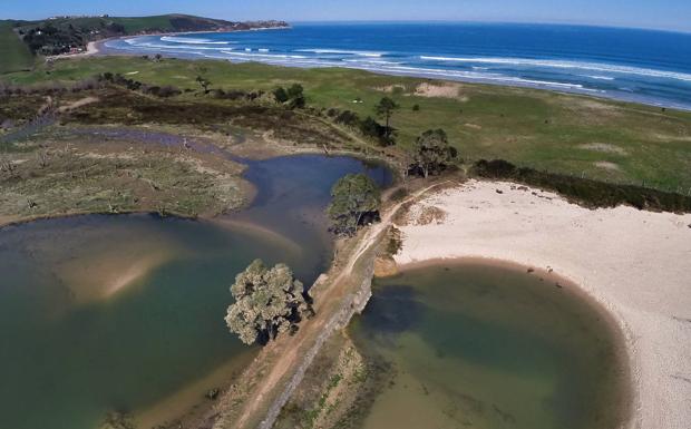 Cs reclama al Gobierno que convoque el Pleno del Patronato del Parque Natural de Oyambre
