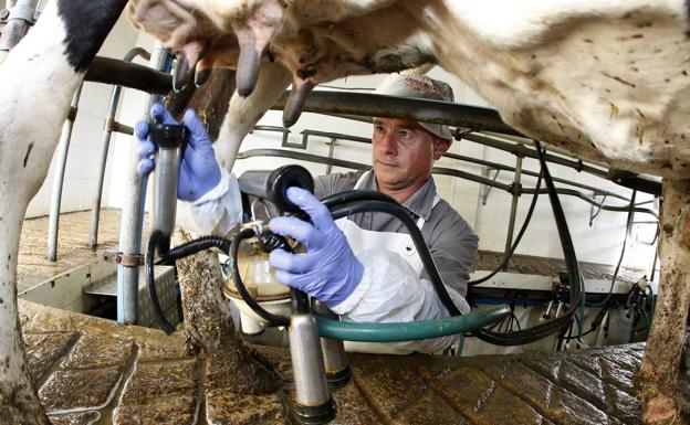 Cantabria aumenta su producción láctea un 2,9% en los seis primeros meses del año