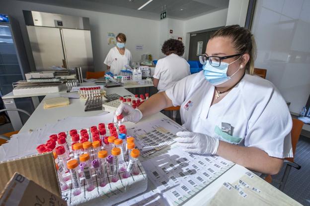 La gran cadena de producción del diagnóstico covid