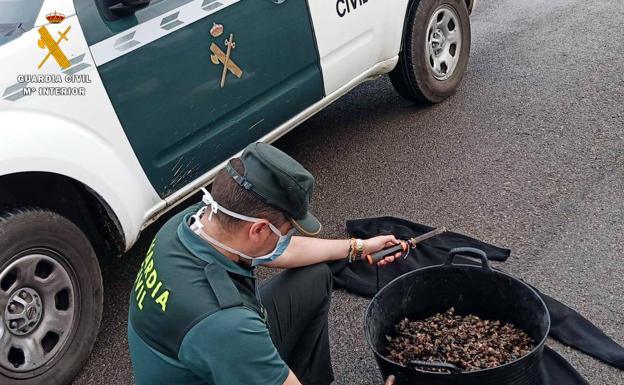 La Guardia Civil intercepta a tres furtivos en Islares con más de 20 kilos de percebes