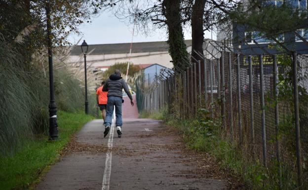 Camargo retirará algunos árboles que invaden el carril bici de Punta Parayas