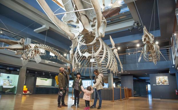 Una tarifa plana para los centros públicos culturales de Cantabria