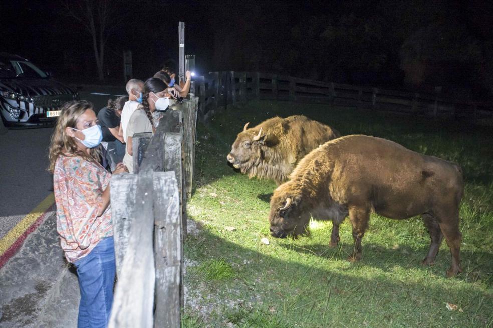 Cabárceno, a la luz crepuscular