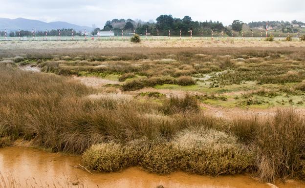 Premio para el proyecto 'Anillo Verde de la Bahía de Santander: conectando la naturaleza y la ciudad'