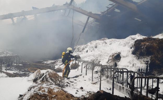 Mueren 25 reses en un incendio en una nave ganadera en Vega de Liébana